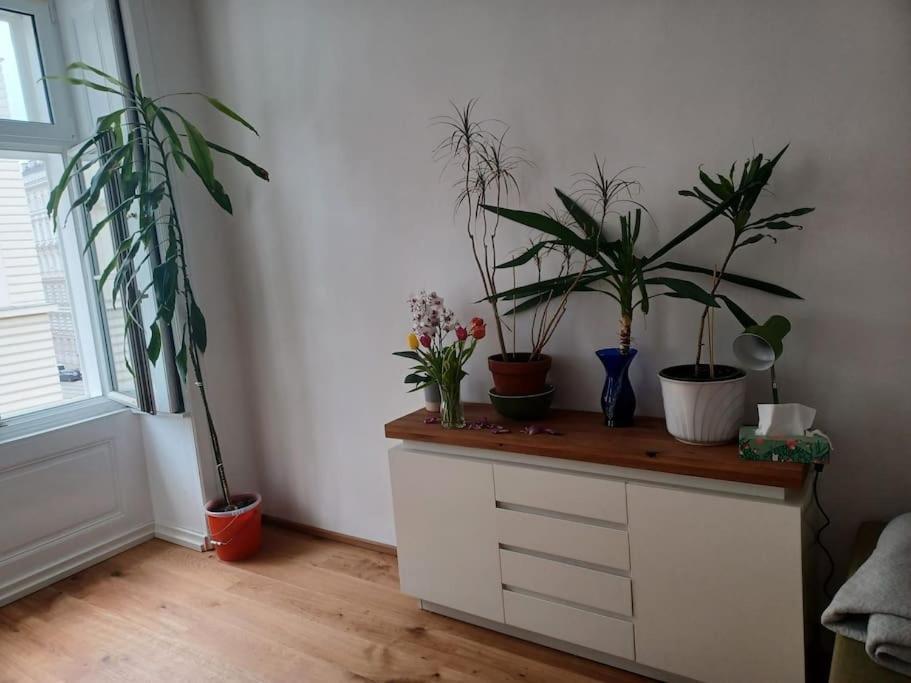 Sehr Zentral Gelegen Appartement Wenen Buitenkant foto